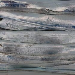 オーフリー 釣果