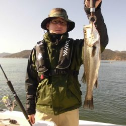 ルアー船マヒマヒ 釣果