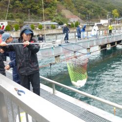 海釣り公園みかた 釣果