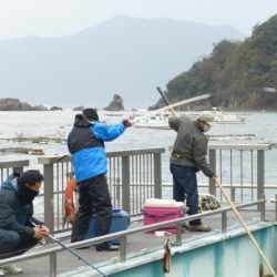 海釣り公園みかた 釣果