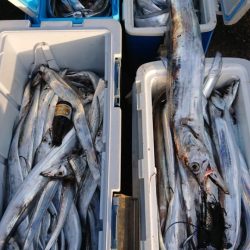 オーフリー 釣果