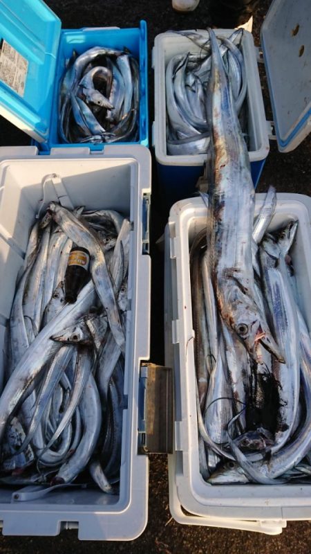 オーフリー 釣果