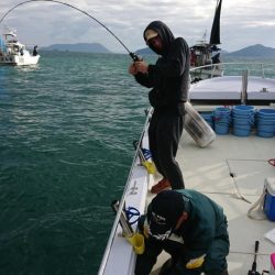 オーフリー 釣果