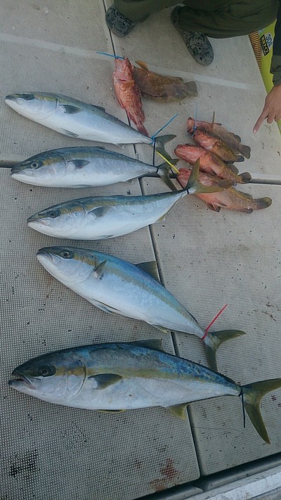 旭星釣りセンター 釣果