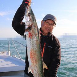 松本釣船２ 釣果