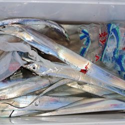 松本釣船２ 釣果