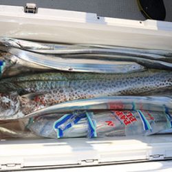 松本釣船２ 釣果