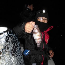 ルアー船マヒマヒ 釣果