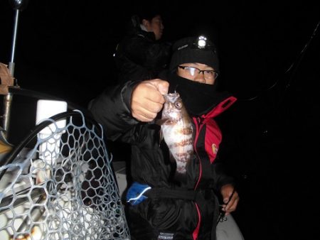 ルアー船マヒマヒ 釣果