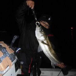 ルアー船マヒマヒ 釣果