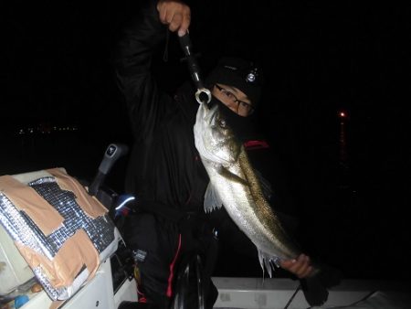 ルアー船マヒマヒ 釣果