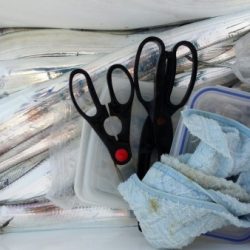 オーフリー 釣果