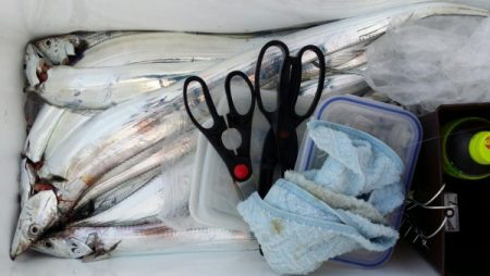 オーフリー 釣果