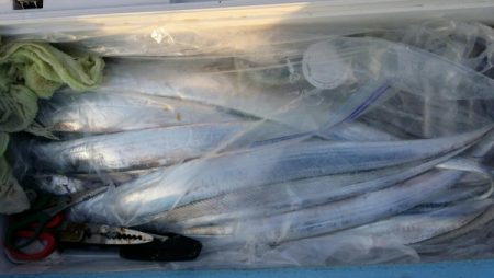 オーフリー 釣果