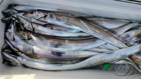 オーフリー 釣果