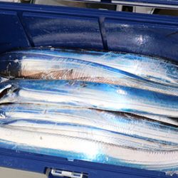 松本釣船２ 釣果