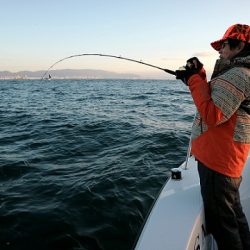 フルコンタクト 釣果