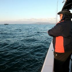 フルコンタクト 釣果