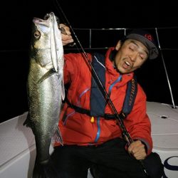 フルコンタクト 釣果