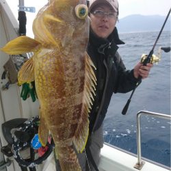 マタウマリンサービス 釣果