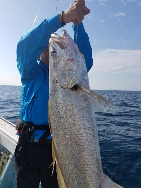 香織丸 釣果