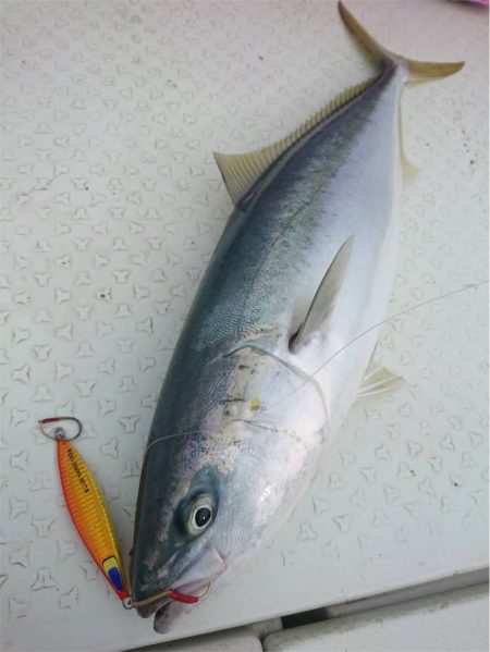 マタウマリンサービス 釣果