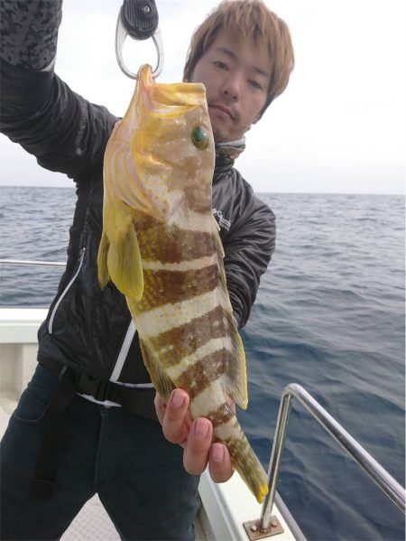 マタウマリンサービス 釣果