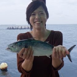 本部釣りイカダ 釣果