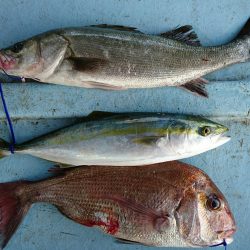 明神釣船 釣果