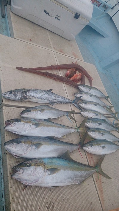 旭星釣りセンター 釣果