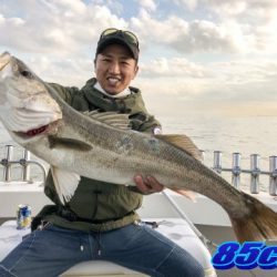 オーシャンマスター 釣果