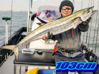 オーシャンマスター 釣果