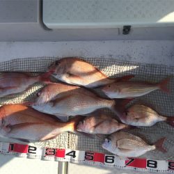 マタウマリンサービス 釣果