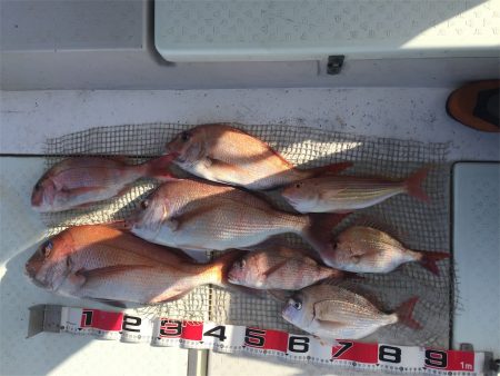 マタウマリンサービス 釣果