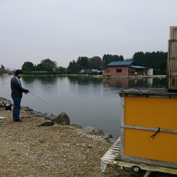 みどりフィッシングエリア 釣果