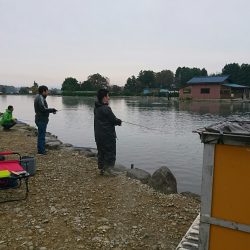 みどりフィッシングエリア 釣果