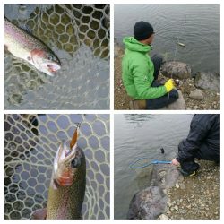 みどりフィッシングエリア 釣果