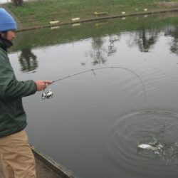 吉羽園 釣果