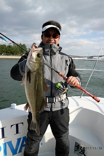 フルコンタクト 釣果