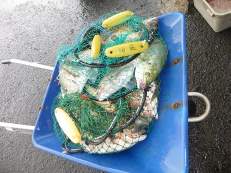 海釣り公園みかた 釣果