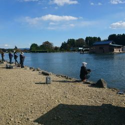 みどりフィッシングエリア 釣果