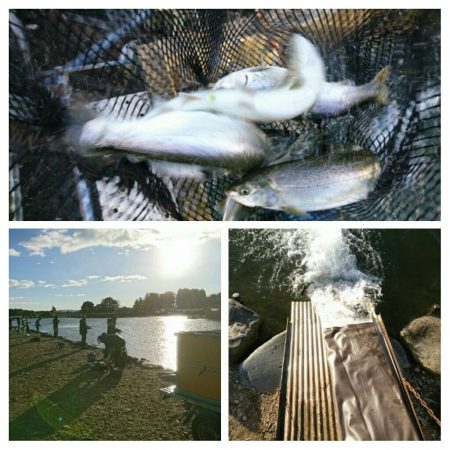 みどりフィッシングエリア 釣果