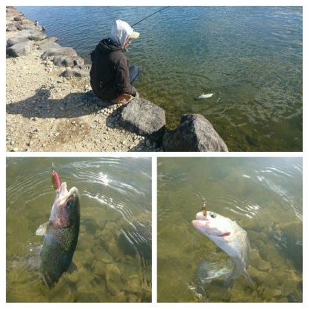 みどりフィッシングエリア 釣果