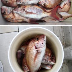 来温丸（らいおんまる） 釣果