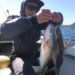 マタウマリンサービス 釣果