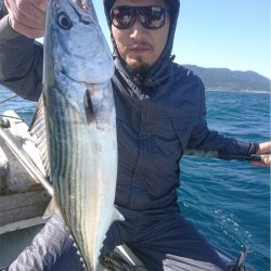 マタウマリンサービス 釣果