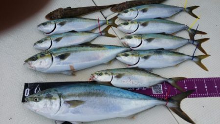 オーフリー 釣果