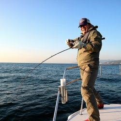 フルコンタクト 釣果