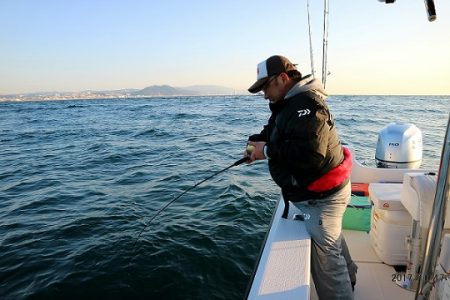 フルコンタクト 釣果