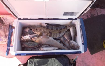 第八平成丸 釣果